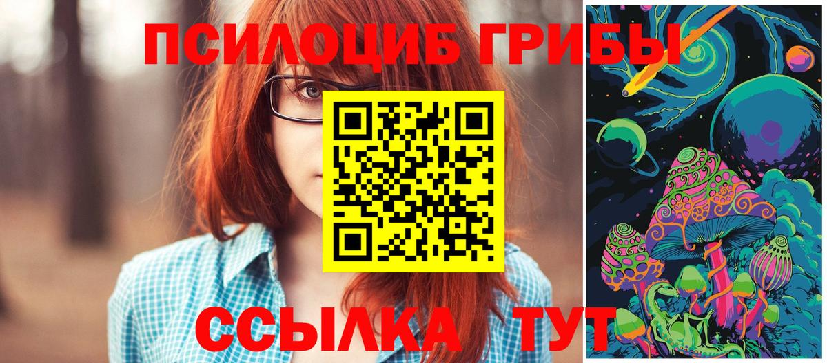 Псилоцибиновые грибы GOLDEN TEACHER Химки