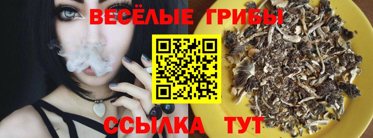 Химки  Псилоцибиновые грибы прущие грибы  Вход с VPN 
